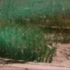 El documental tiene la misión de ayudar a los abuelitos de Casa Hogar San Francisco de Asís.