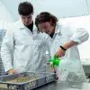 Estudiantes de ingeniería crean evento de talla internacional