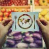Servicios alimentarios, ONU