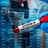 Actualmente, se han detectado 3 subvariantes de Ómicron.