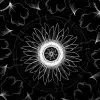 Ganadores Concurso Artes Visuales de VibrArt