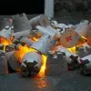 En su obra Joris Gourdel-Bréhier analiza el impacto del ser humano en el medioambiente.