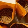 Estudiante Tec crea alimento sustentable para mascotas