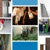 Proyectos de estudiantes del Tec Queretaro en el Design Week