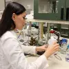 Investigacion chocolates para mejorar memoria en el Tec Guadalajara. 