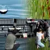 Éxito verde: alumnos Tec triunfan con tratamiento de agua con plantas.
