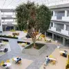 Tec Toluca: un nuevo aire para sus aulas y árboles (fotogalería)