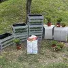 Bailando con las abejas: el jardín con IA creado por alumnos Tec