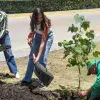 Comunidad de PrepaTec Santa Fe planta árbol de manitas, especie amenazada