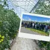 Alumnos desarrollan proyectos en innovación agrícola en el Centro de Agricultura Experimental 