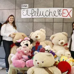 Alumnos del CAM lanzaron la campaña "El peluche de tu ex"