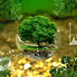arbol