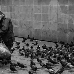 Profesor gana premio de fotografía y representará a México en mundial