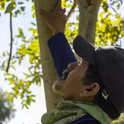 Diego a lado de un árbol 