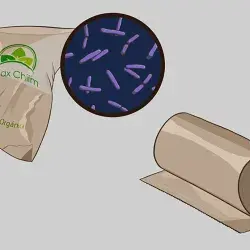Diseño de bolsa biodegradable