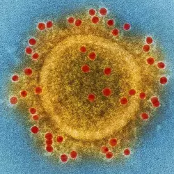Tec using computational methods to study the Chinese coronavirus