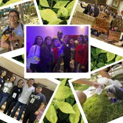Conoce los siguientes consejos que tienen para ti estas alumnas de PrepaTec campus Sinaloa