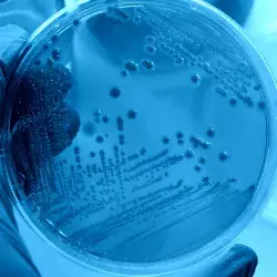 Alumno del Tec crea sanitizador para combatir virus y bacterias 