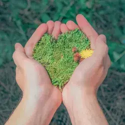 Cuidar el medio ambiente es responsabilidad de todos
