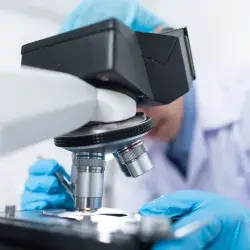 Joven de excelencia gana becas para estudiar en España y Austria