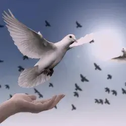 Día de la no violencia y la paz