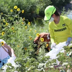 Los alumnos del grupo de robótica recolectando basura.