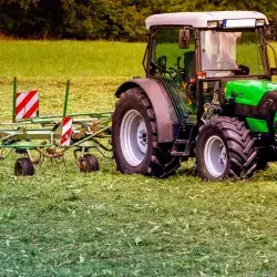 Investigadoras Tec ganan 10 mil dólares para desarrollar biopesticida 