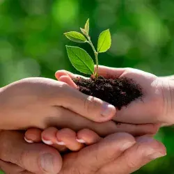 Activista climática mexicana y profesora Tec es premiada por su labor