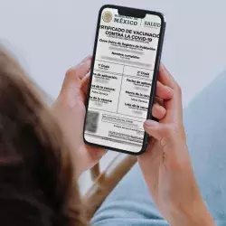 Descarga tu certificado covid19 en unos cuantos pasos