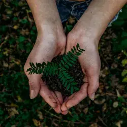 Tips para una vida sustentable