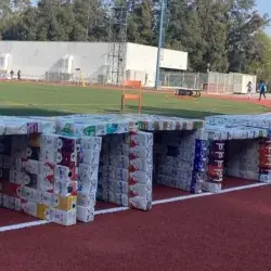 casas para perros callejeros