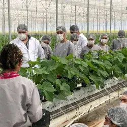 Alumnos en el Campo Agroexperimental del Tec de Monterrey