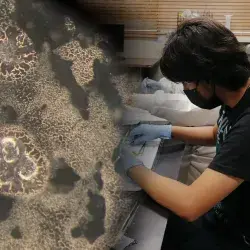 Emilio Peña en el laboratorio