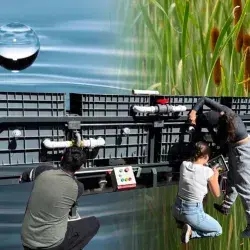 Éxito verde: alumnos Tec triunfan con tratamiento de agua con plantas.