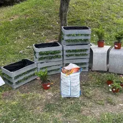 Bailando con las abejas: el jardín con IA creado por alumnos Tec