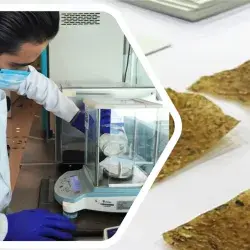 Tec students transform pineapple waste into sustainable cellulose