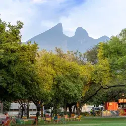 The importance of trees at the Tec