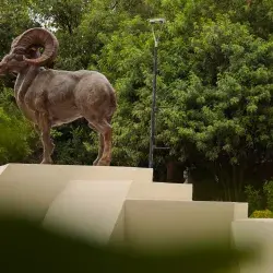 Certificación STARS Tec Aguascalientes