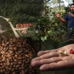 Cabañas de turismo en Chiapas