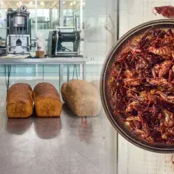 Profesora investigadora del Tec de Monterrey desarrolla panes con harina de insectos