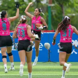 selección mexicana de flag