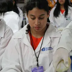 Women Mentoring in STEM: Proyecto que surge de profesoras Tec