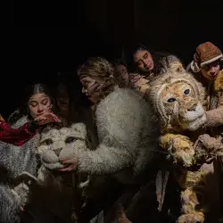 El Circo sin Bestias