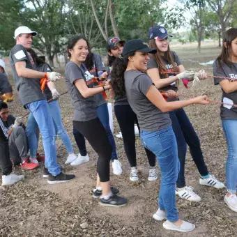 Trabajando en equipo