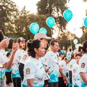 Carrera techo