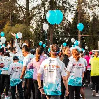 Carrera techo