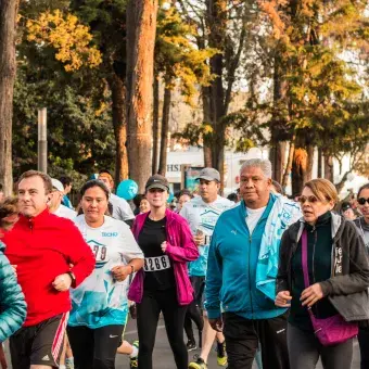Carrera techo