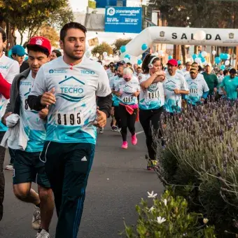 Carrera techo