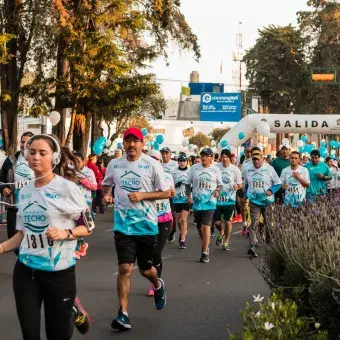 Carrera techo