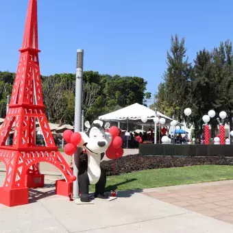 Feria de San Valentín Profesional.